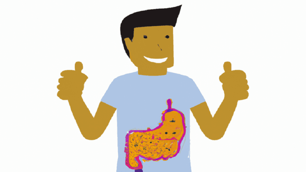 showing Healthy gut illustration